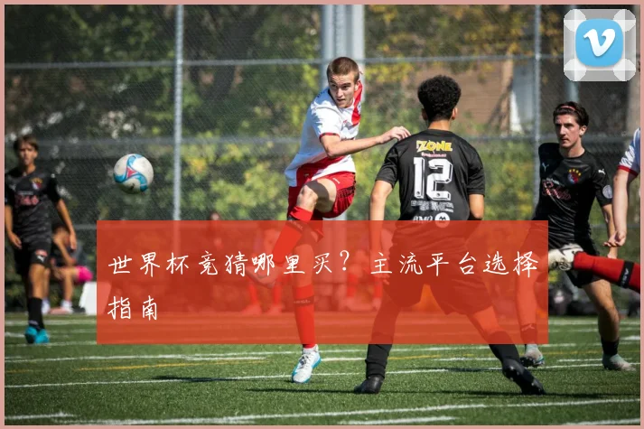 世界杯竞猜哪里买?主流平台选择指南