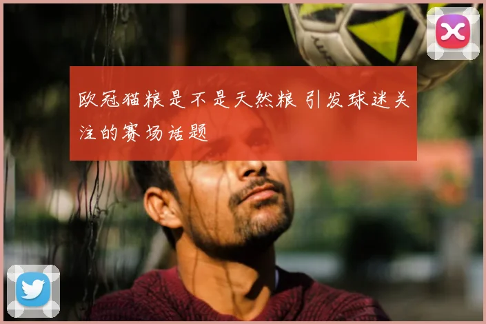 欧冠猫粮是不是天然粮 引发球迷关注的赛场话题