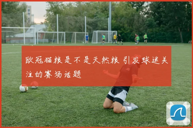 欧冠猫粮是不是天然粮 引发球迷关注的赛场话题